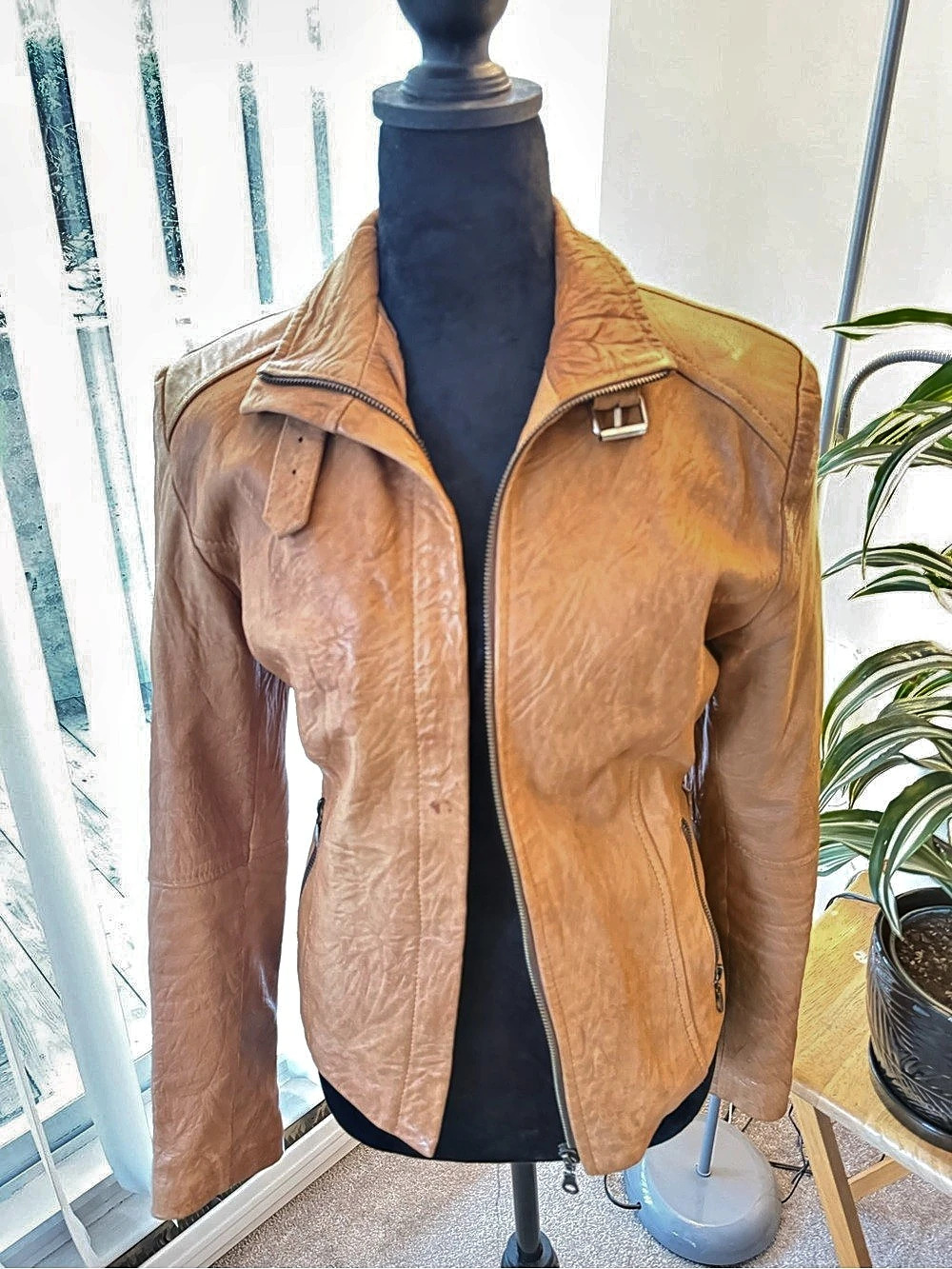 Leather Moto Jacket in Brown